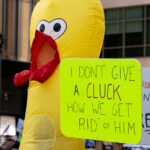 An inflatable chicken seen at No Kings Minneapolis.Thousands protest in Downtown Minneapolis on Saturday October 18, 2025 as part of nationwide “No Kings!” protest.