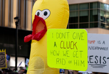 An inflatable chicken seen at No Kings Minneapolis.

Thousands protest in Downtown Minneapolis on Saturday October 18, 2025 as part of nationwide “No Kings!” protest.