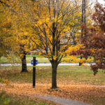 Colorful leaves on the bike trails around Lake of the Isles in Minneapolis.