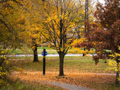 Biking through Minneapolis Fall Colors