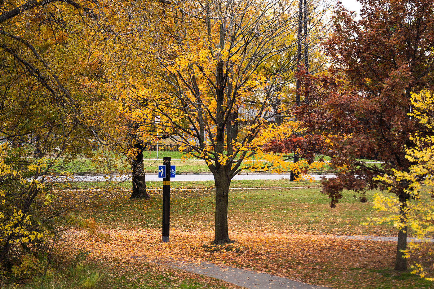 Biking through Minneapolis Fall Colors