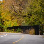 Fall colors on the Midtown Greenway at the Dean Parkway exit. A great time of the year!