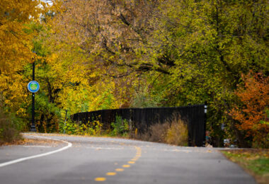 Fall colors on the Midtown Greenway at the Dean Parkway exit. A great time of the year!