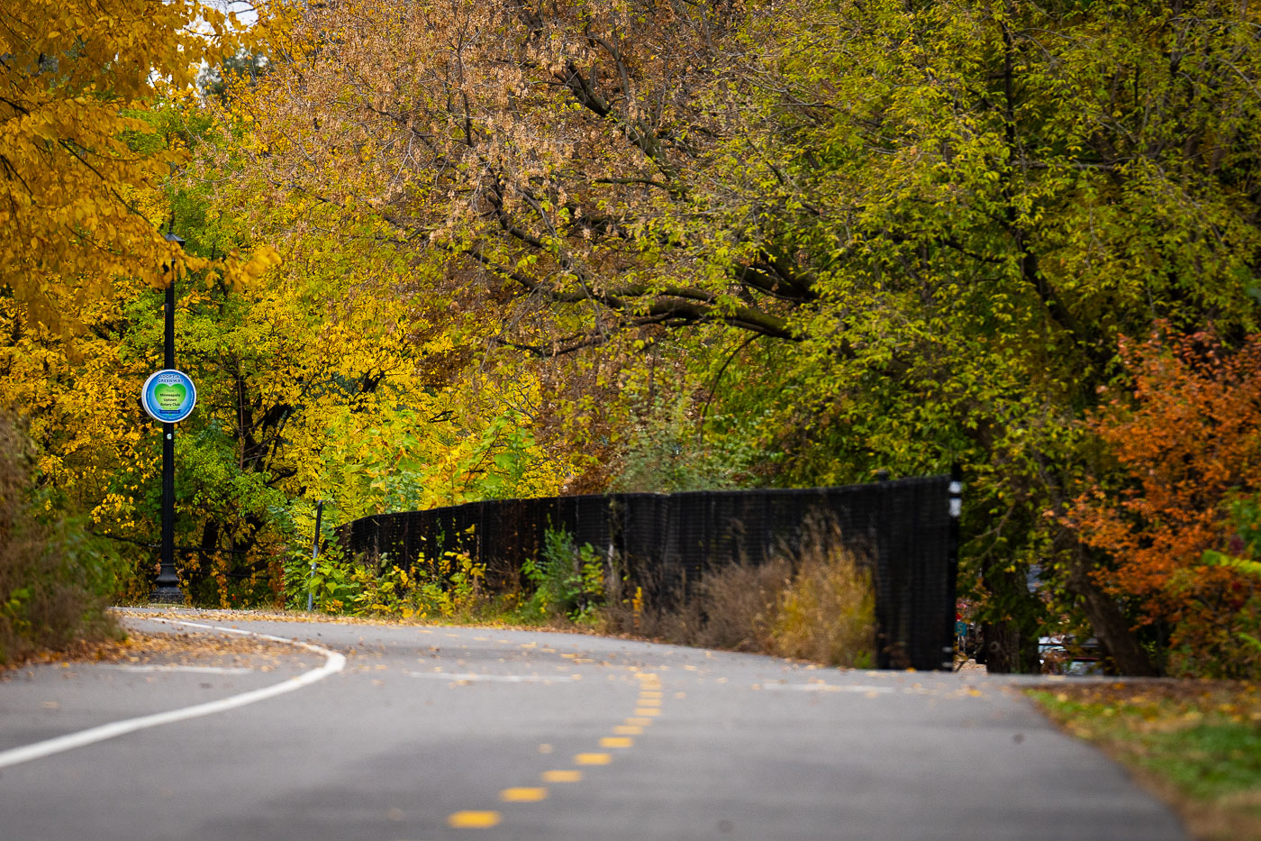 Dean Parkway and Midtown Greenway Fall Colors
