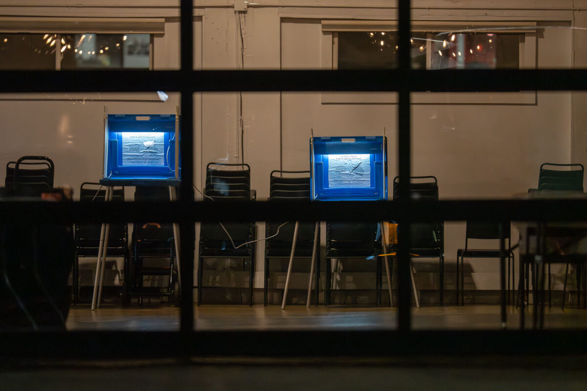 Voting in the North Loop