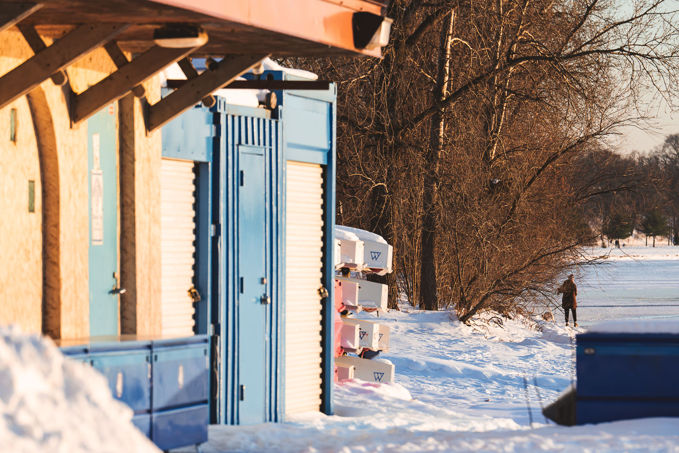 Frozen Bde Maka Ska Dog Walk