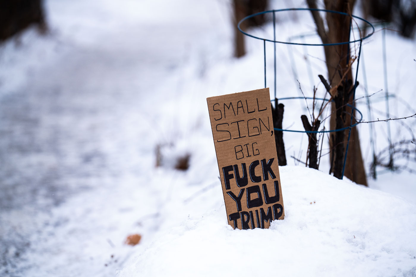Small Sign, Big Fuck You Trump, Minneapolis