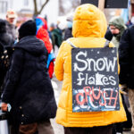 Snow Flakes Crush Ice, Minneapolis 3 Thousands march through South Minneapolis tonight protesting the actions of the thousands of ICE agents that have descended upon the city in the last month.