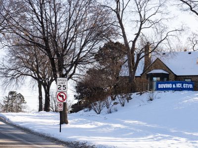 Minneapolis Protest Sign Against Bovino & ICE