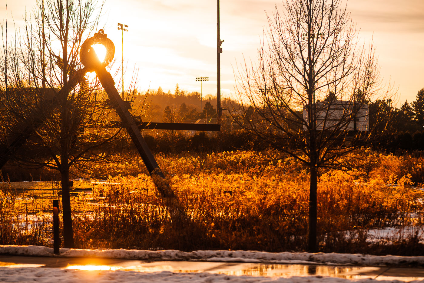 The Walker Sculpture Garden in Minneapolis, Minnesota, features large-scale sculptures set in a landscape. This image shows a sculpture at sunset with golden light illuminating the trees and dry grasses.