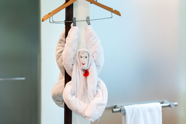 Towel Monkey at Iberostar Selection Riviera, Cancún 1 Towel monkey arranged in a guest room at Iberostar Selection Riviera in Cancún.