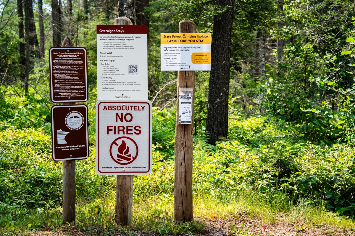 Absolutely No Fires – Finland State Forest in Minnesota