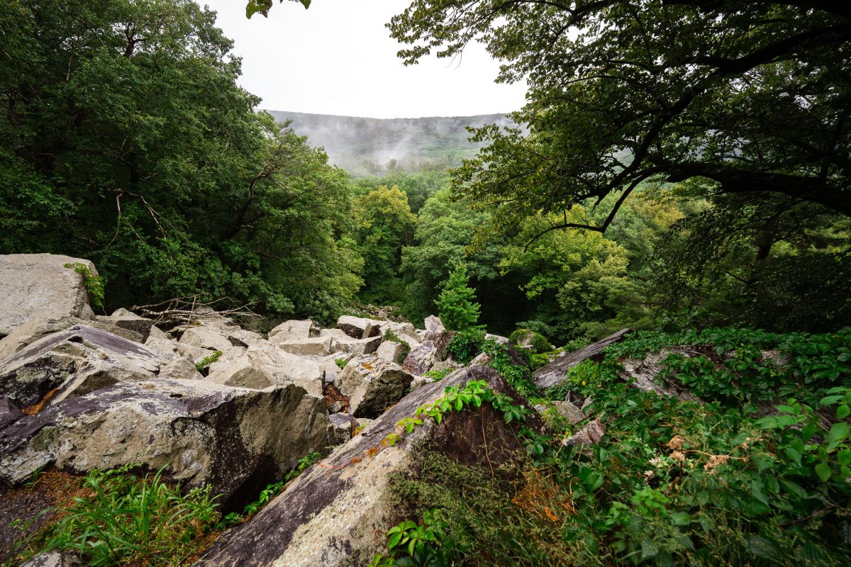 Fog on the East Bluff of Devil's Lake State Park in Wisconsin