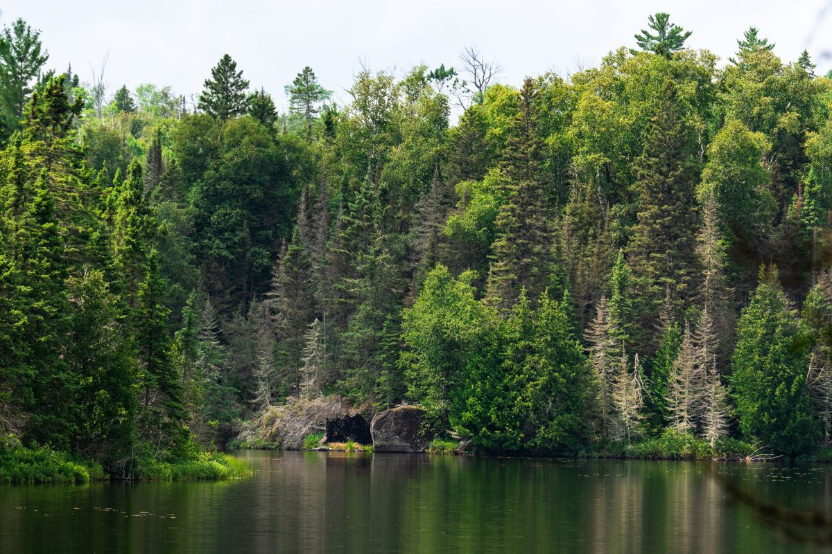 Homestead Lake, Superior National Forest, Minnesota