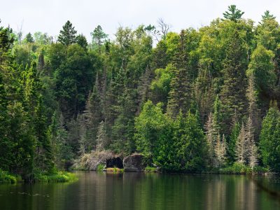 Homestead Lake, Superior National Forest, Minnesota