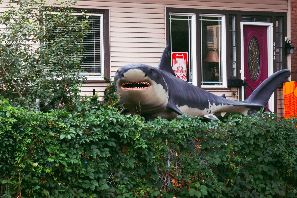 Shark in Minneapolis - ICE OUT