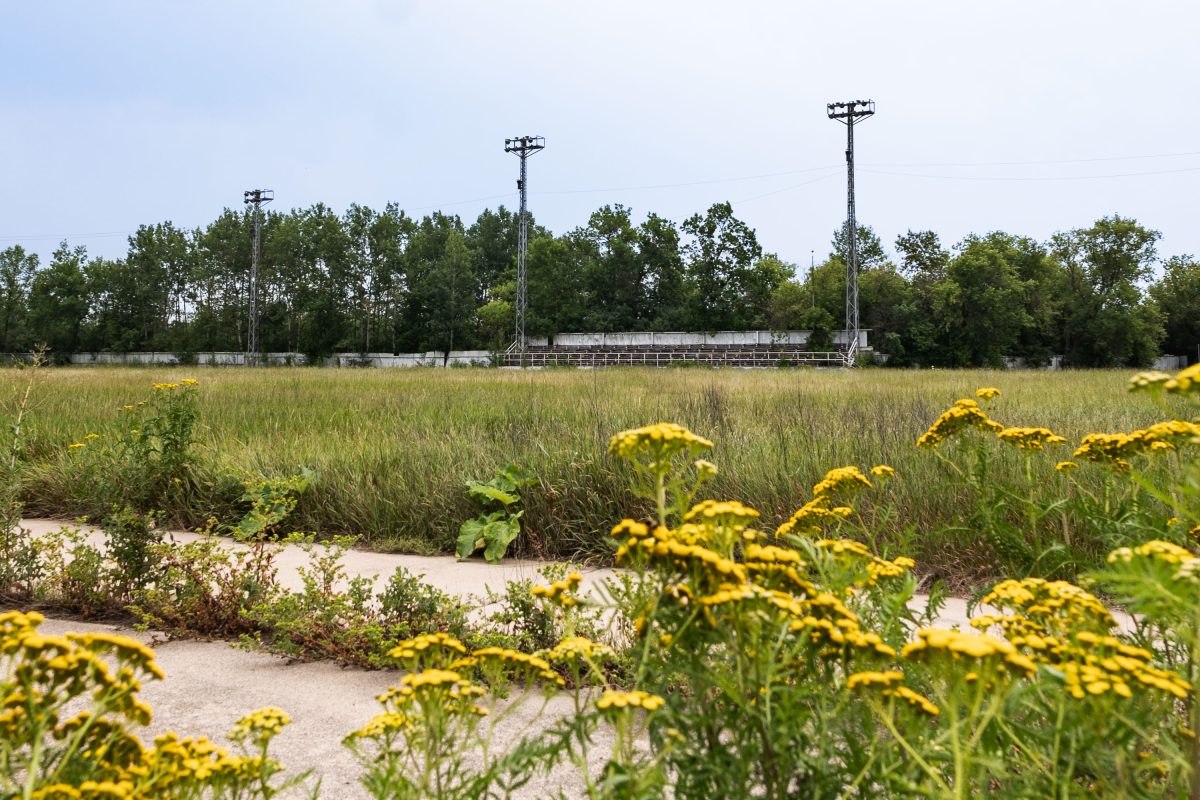 Stands at Mesabi Academy in Buhl Minnesota