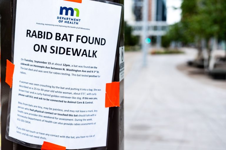 Rabid Bat Notice in Downtown Minneapolis