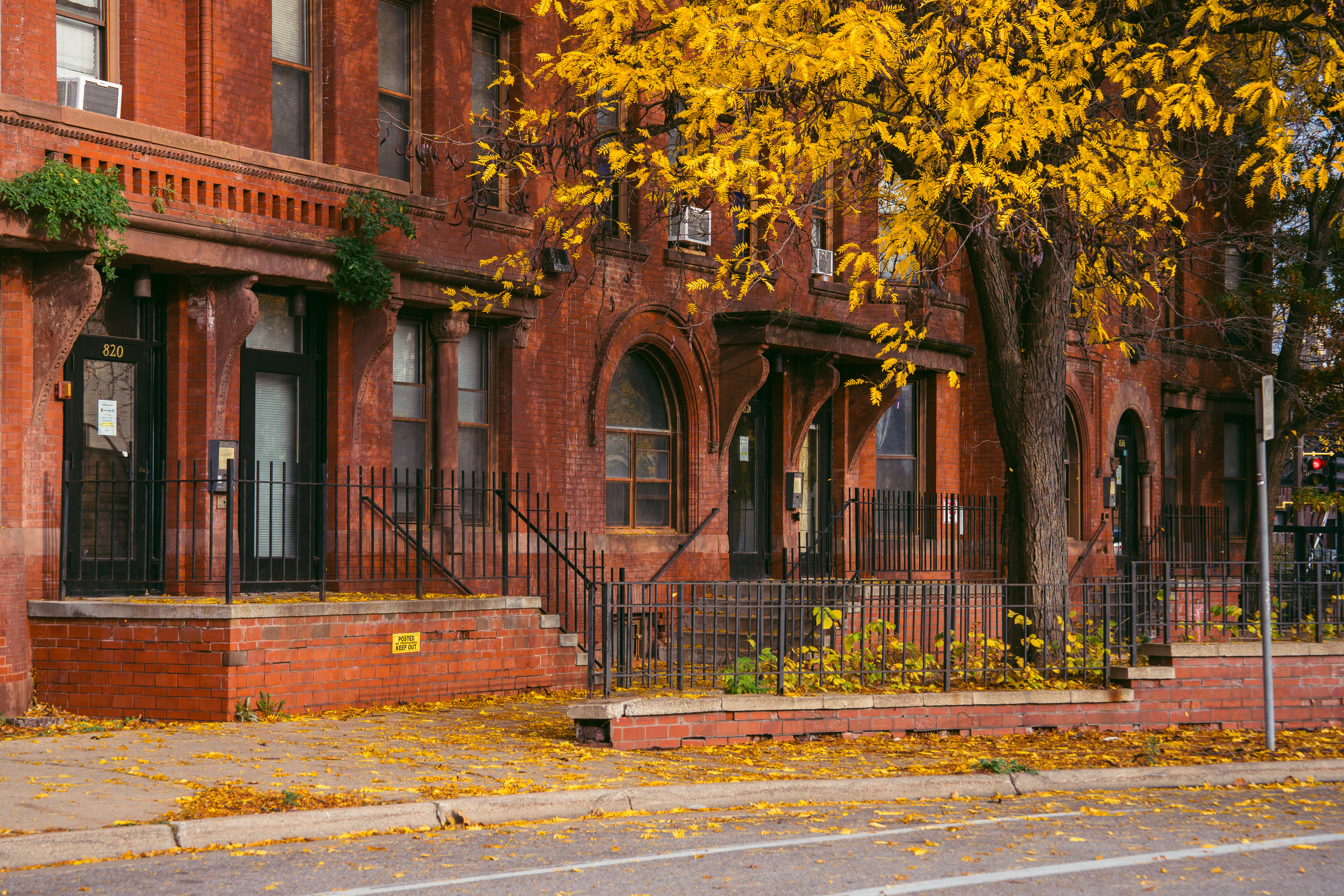 Fall colors on 10th Street in Minneapolis