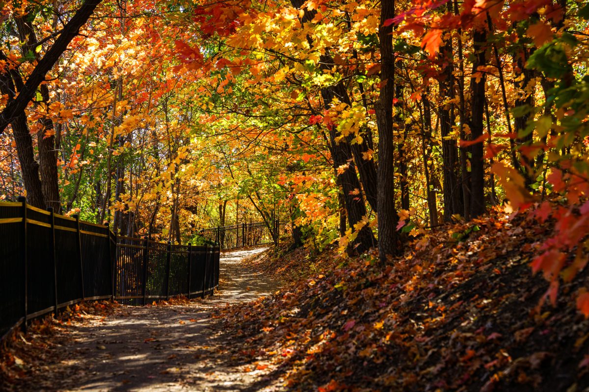 Colors on the Winchell Trail in Minneapolis