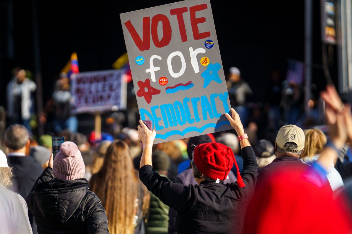 Protester holding a "Vote for Democracy" sign at the Minneapolis No Kings Rally.