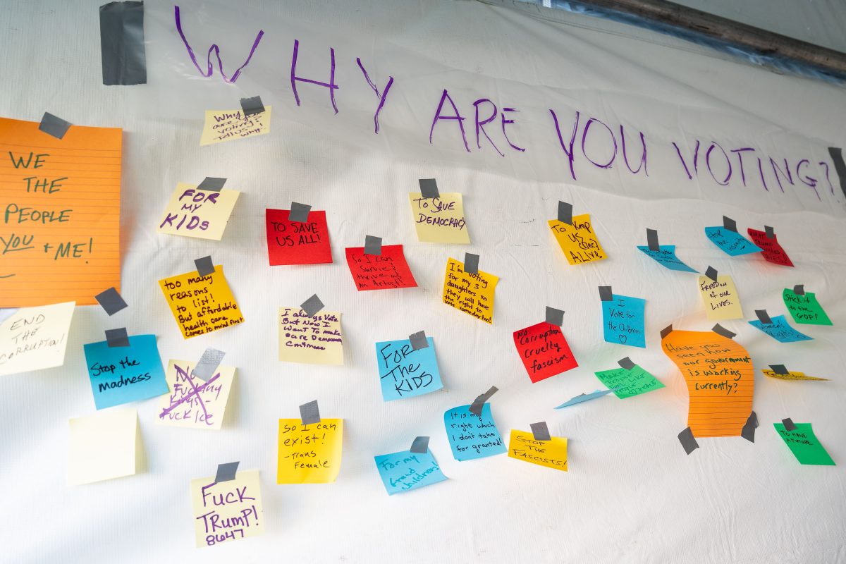 Why are you voting board at No Kings Minneapolis