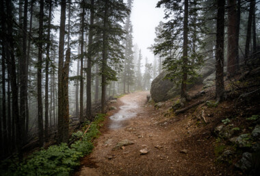 Black Elk Peak (formerly Harney Peak) is the highest natural point in South Dakota, United States. It lies in the Black Elk Wilderness area, in southern Pennington County, in the Black Hills National Forest. The peak lies 3.7 mi (6.0 km) west-southwest of Mount Rushmore. At 7,242 feet (2,207 m), it has been described by the Board on Geographical Names as the highest summit in the United States east of the Rocky Mountains. Though part of the North American Cordillera, it is generally considered to be geologically separate from the Rocky Mountains. Lost Mine peak in the Chisos mountains of Texas, at an elevation of 7,535 feet, is the furthest east peak within the continental United States above 7,000 feet. Source: Wikipedia Black Elk Peak (formerly Harney Peak) is the highest natural point in South Dakota, United States. It lies in the Black Elk Wilderness area, in southern Pennington County, in the Black Hills National Forest. The peak lies 3.7 mi (6.0 km) west-southwest of Mount Rushmore. At 7,242 feet (2,207 m), it has been described by the Board on Geographical Names as the highest summit in the United States east of the Rocky Mountains. Though part of the North American Cordillera, it is generally considered to be geologically separate from the Rocky Mountains. Lost Mine peak in the Chisos mountains of Texas, at an elevation of 7,535 feet, is the furthest east peak within the continental United States above 7,000 feet. Source: Wikipedia
