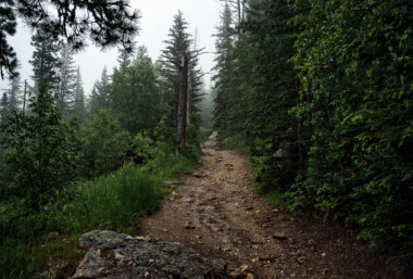Black Elk Peak (formerly Harney Peak) is the highest natural point in South Dakota, United States. It lies in the Black Elk Wilderness area, in southern Pennington County, in the Black Hills National Forest. The peak lies 3.7 mi (6.0 km) west-southwest of Mount Rushmore. At 7,242 feet (2,207 m), it has been described by the Board on Geographical Names as the highest summit in the United States east of the Rocky Mountains. Though part of the North American Cordillera, it is generally considered to be geologically separate from the Rocky Mountains. Lost Mine peak in the Chisos mountains of Texas, at an elevation of 7,535 feet, is the furthest east peak within the continental United States above 7,000 feet. Source: Wikipedia Black Elk Peak (formerly Harney Peak) is the highest natural point in South Dakota, United States. It lies in the Black Elk Wilderness area, in southern Pennington County, in the Black Hills National Forest. The peak lies 3.7 mi (6.0 km) west-southwest of Mount Rushmore. At 7,242 feet (2,207 m), it has been described by the Board on Geographical Names as the highest summit in the United States east of the Rocky Mountains. Though part of the North American Cordillera, it is generally considered to be geologically separate from the Rocky Mountains. Lost Mine peak in the Chisos mountains of Texas, at an elevation of 7,535 feet, is the furthest east peak within the continental United States above 7,000 feet. Source: Wikipedia